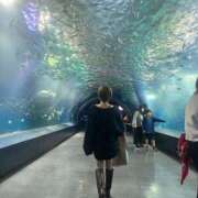 「宝島」へと向かう橋。 おはよう GOOD-グッド-