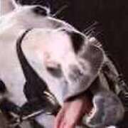 ヒメ日記 2025/12/09 05:45 投稿 「宝島」へと向かう橋。 GOOD-グッド-