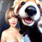 ヒメ日記 2026/02/13 04:26 投稿 「宝島」へと向かう橋。 GOOD-グッド-