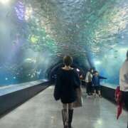 「宝島」へと向かう橋。 おはよう GOOD-グッド-