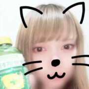 ヒメ日記 2025/10/08 02:38 投稿 みおり【初めてのお仕事♡】 ソープランド看護学院ディエックス