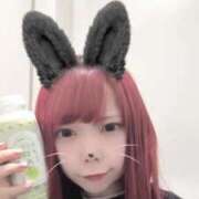 ヒメ日記 2025/11/05 17:38 投稿 みおり【初めてのお仕事♡】 ソープランド看護学院ディエックス