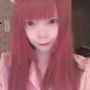 ヒメ日記 2025/11/25 20:28 投稿 みおり【初めてのお仕事♡】 ソープランド看護学院ディエックス