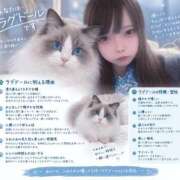 ヒメ日記 2026/09/15 04:18 投稿 みおり【初めてのお仕事♡】 ソープランド看護学院ディエックス