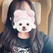 ヒメ日記 2025/12/19 19:16 投稿 るい おいらん(池袋)