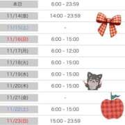 ヒメ日記 2025/11/13 21:31 投稿 長瀬ななえ ミセスレディ