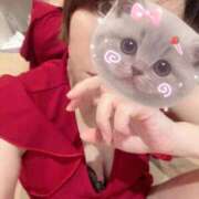 ヒメ日記 2025/12/07 06:16 投稿 長瀬ななえ ミセスレディ