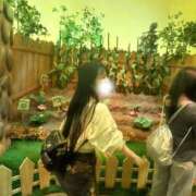 ヒメ日記 2026/05/01 12:49 投稿 望月れいな 金瓶梅(きんぺいぱい)(雄琴)