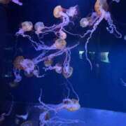 ヒメ日記 2025/10/31 18:25 投稿 かんな♪ プリティーガール