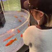 ヒメ日記 2025/11/01 09:45 投稿 かんな♪ プリティーガール