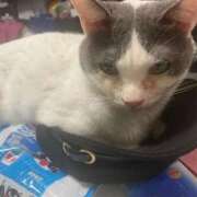 ヒメ日記 2025/12/05 08:15 投稿 かんな♪ プリティーガール