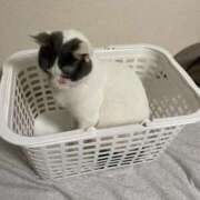 かんな♪ 😭悔しい🤧😭 プリティーガール