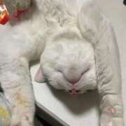 ヒメ日記 2026/02/16 21:35 投稿 かんな♪ プリティーガール