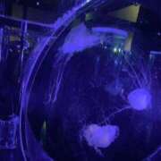 ヒメ日記 2026/02/21 10:28 投稿 かんな♪ プリティーガール