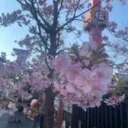 ヒメ日記 2026/02/28 15:35 投稿 かんな♪ プリティーガール