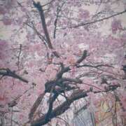 ヒメ日記 2026/03/18 17:35 投稿 かんな♪ プリティーガール