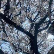 ヒメ日記 2026/04/03 20:35 投稿 かんな♪ プリティーガール