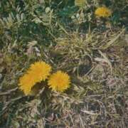 ヒメ日記 2026/04/04 14:05 投稿 かんな♪ プリティーガール