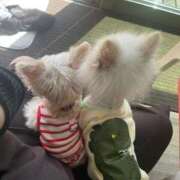 ヒメ日記 2026/04/15 09:55 投稿 かんな♪ プリティーガール