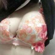 ヒメ日記 2026/01/14 16:57 投稿 弥生/やよい ギャルズネットワークネクスト 奈良