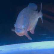 ヒメ日記 2025/10/26 10:47 投稿 菜月/なつき ギャルズネットワークネクスト 奈良