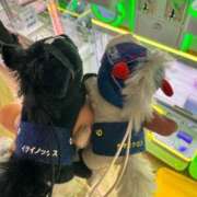 ヒメ日記 2026/05/12 10:57 投稿 菜月/なつき ギャルズネットワークネクスト 奈良