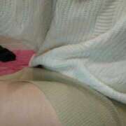 ヒメ日記 2025/11/01 08:49 投稿 斎藤　いつか YOKOHAMA FIVESTAR（横浜ファイブスター）