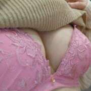 ヒメ日記 2025/11/13 08:55 投稿 斎藤　いつか YOKOHAMA FIVESTAR（横浜ファイブスター）