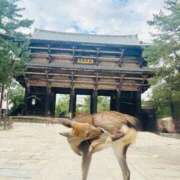 宮沢 亜美 年内の出勤は 名古屋貴楼館