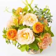 ヒメ日記 2025/10/09 08:37 投稿 えりか ラブコレ