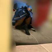 ヒメ日記 2025/10/08 14:56 投稿 るる ていくぷらいど.学園