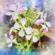 ヒメ日記 2025/10/01 11:52 投稿 久長ようこ 五十路マダム 徳島店