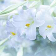 ヒメ日記 2026/02/07 11:32 投稿 久長ようこ 五十路マダム 徳島店