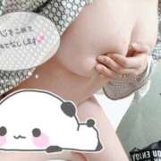 ヒメ日記 2025/10/01 17:26 投稿 しずく/爆乳Ｈ乳！撮影可能★ 10代、20代専門ハレンチ倶楽部　姫路店