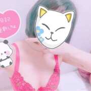 ヒメ日記 2025/10/12 00:26 投稿 しずく/爆乳Ｈ乳！撮影可能★ 10代、20代専門ハレンチ倶楽部　姫路店