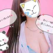 ヒメ日記 2026/01/13 12:36 投稿 しずく/爆乳Ｈ乳！撮影可能★ 10代、20代専門ハレンチ倶楽部　姫路店