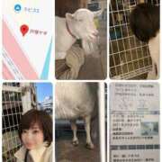 ヒメ日記 2025/12/08 20:41 投稿 みふゆ 完熟ばなな 横浜