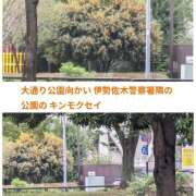 ヒメ日記 2025/10/20 20:44 投稿 みふゆ 完熟ばなな川崎