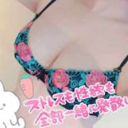 ヒメ日記 2025/10/04 13:37 投稿 しるく おっぱいパラダイス(姫路)