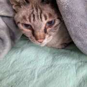 ヒメ日記 2025/10/17 18:49 投稿 永咲【ながさき】 人妻最後の砦 千葉店