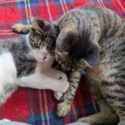 ヒメ日記 2025/10/23 19:00 投稿 永咲【ながさき】 人妻最後の砦 千葉店