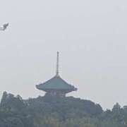 ヒメ日記 2025/11/14 19:23 投稿 永咲【ながさき】 人妻最後の砦 千葉店