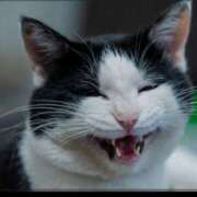 ヒメ日記 2025/11/25 19:34 投稿 永咲【ながさき】 人妻最後の砦 千葉店