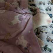 永咲【ながさき】 本当にごめんなさい 人妻最後の砦 千葉店