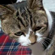 ヒメ日記 2025/12/19 09:00 投稿 永咲【ながさき】 人妻最後の砦 千葉店