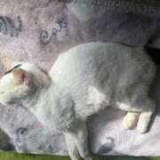 ヒメ日記 2025/11/04 13:44 投稿 じゅんこ 千葉人妻花壇