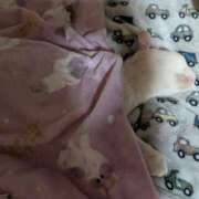 じゅんこ 困ったなぁ 千葉人妻花壇