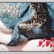 ヒメ日記 2025/12/08 20:49 投稿 じゅんこ 千葉人妻花壇