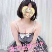 ヒメ日記 2025/11/02 12:03 投稿 風花（ふうか） 丸妻 錦糸町店