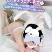 ヒメ日記 2025/11/25 09:06 投稿 風花（ふうか） 丸妻 錦糸町店